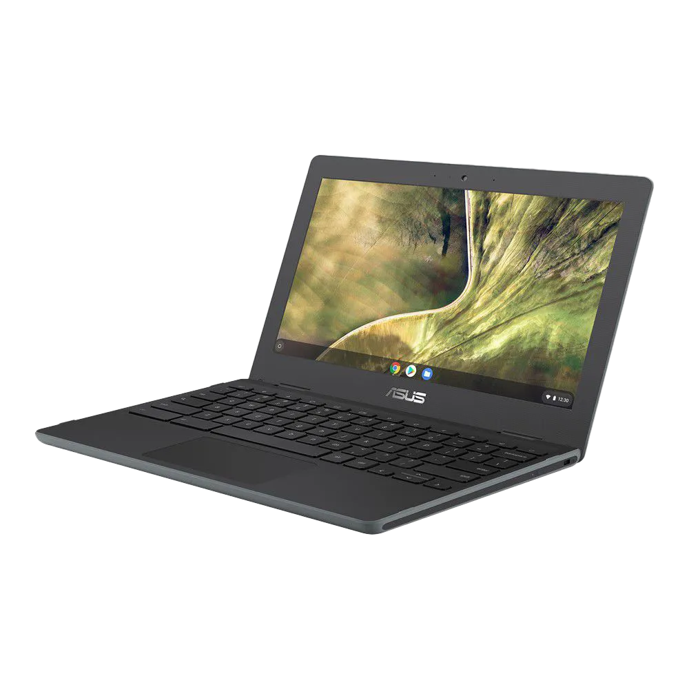 ASUS Chromebook C204