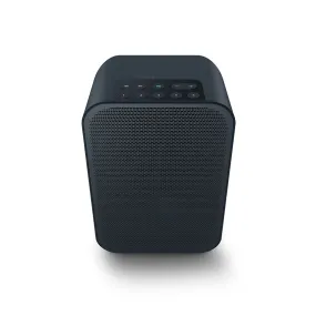 Bluesound Pulse Flex 2i Portable Wireless Multi-Room Music Streaming Speaker