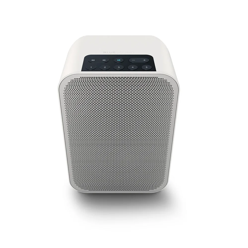 Bluesound Pulse Flex 2i Portable Wireless Multi-Room Music Streaming Speaker