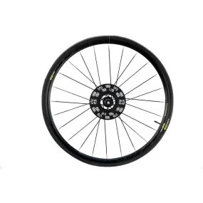 Mavic Aksium Disc Road Rear Wheel, 700c, Aluminum, Clincher, 12x142mm TA, 24H,CL