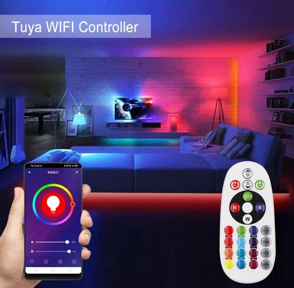 RGB LED Strip 220V 240V 120LEDs/m WiFi Tuya APP LED controller with 24key Remote